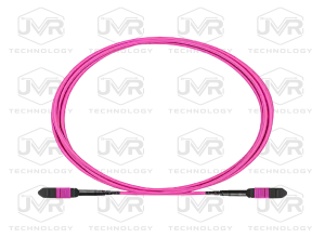 PATCHCORD MM OM4, MPO/UPC FEMALE- MPO/UPC  FEMALE 12 CORES TYPE B  3 MT VIOLET